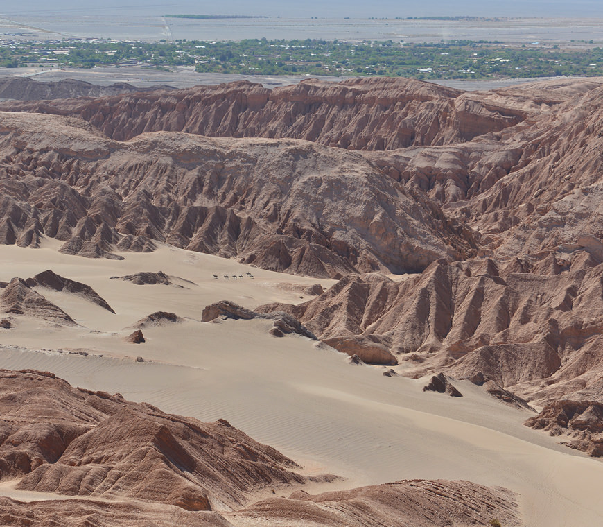 Atacama Chili Reis Catarpe