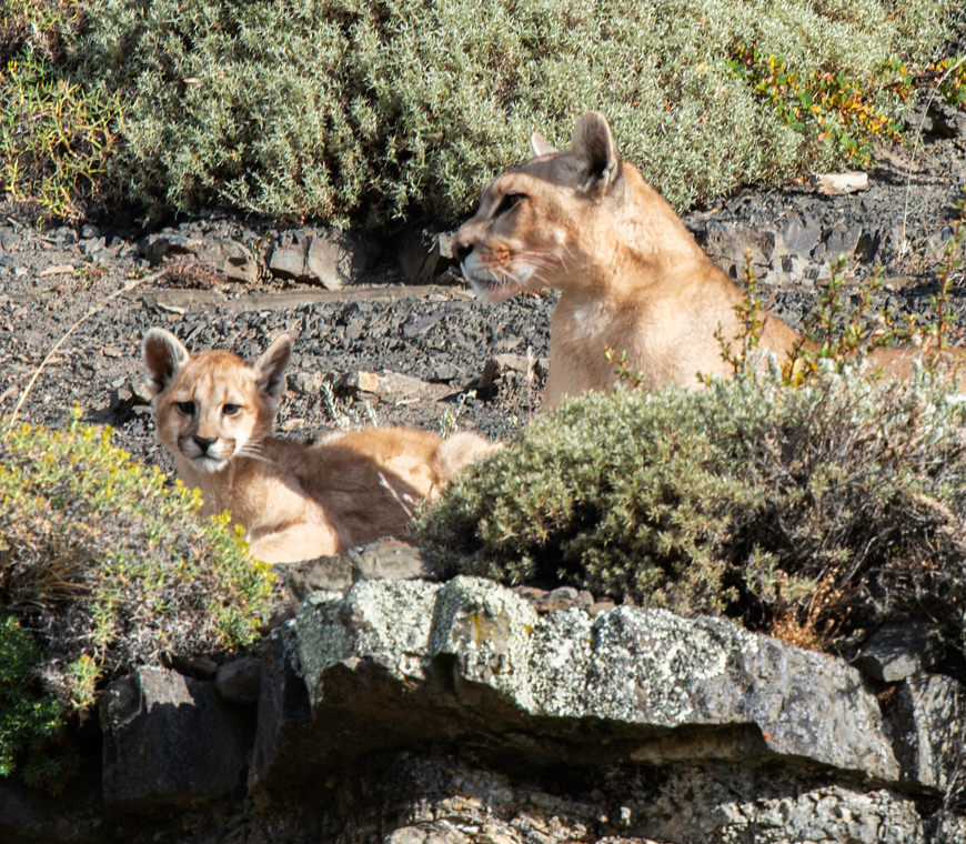 Atacama Header4 Specialist Reis Chili