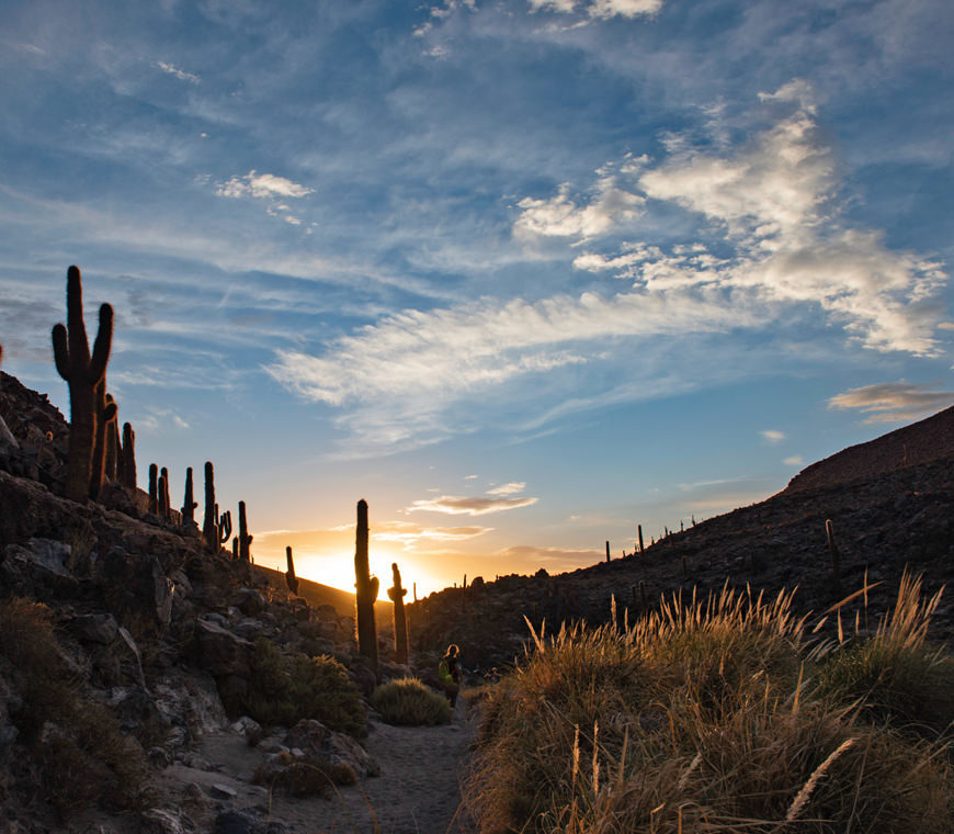 Atacama Woestijn 66 Desert Chile Reis Specialist Belgie