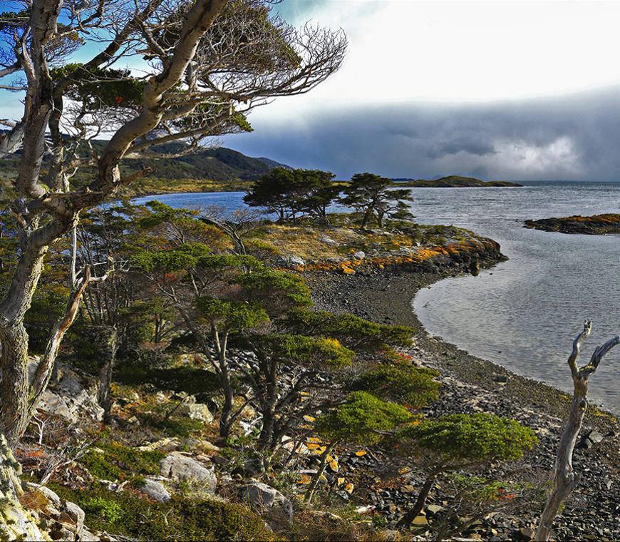 Australis Cruise Patagonia Atacama11