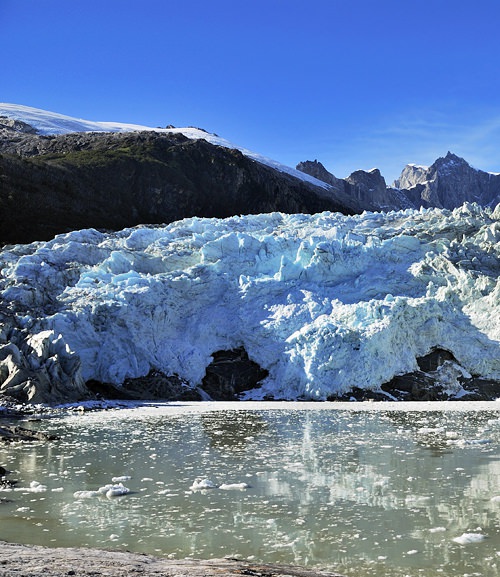 Chile Bucket Wildlife Vuurland3