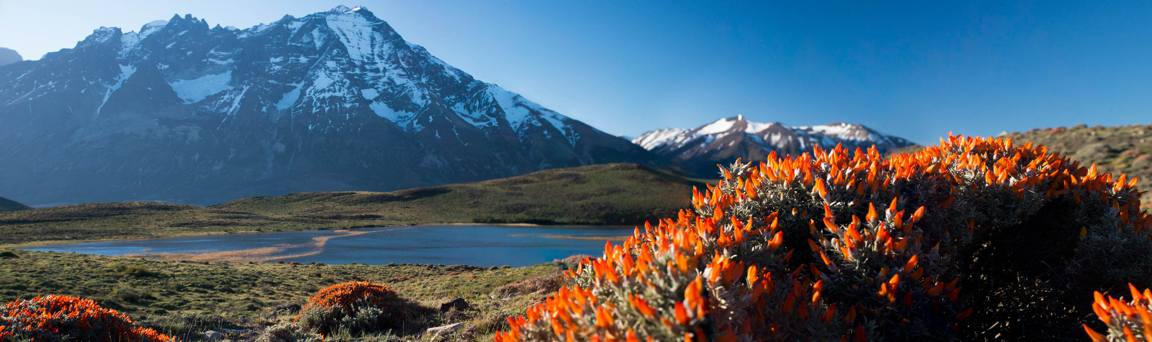 Explora Patagonia Torresdelpaine Pano