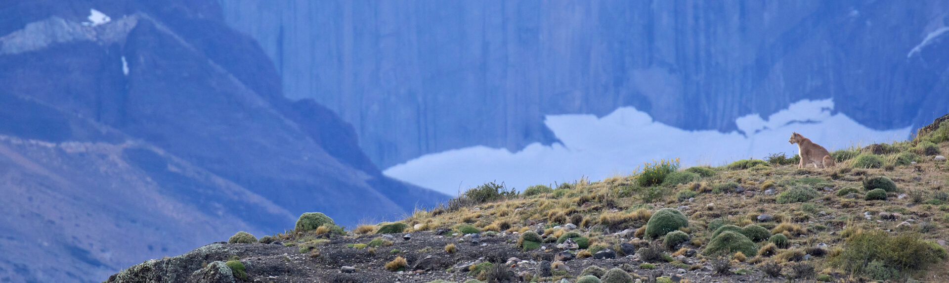 Chili10 Poema Torres Del Paine Winter Atacama Be