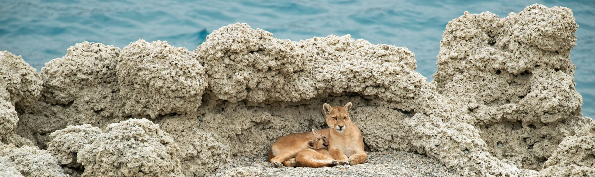 Chili9 Poema Torres Del Paine Winter Atacama Be