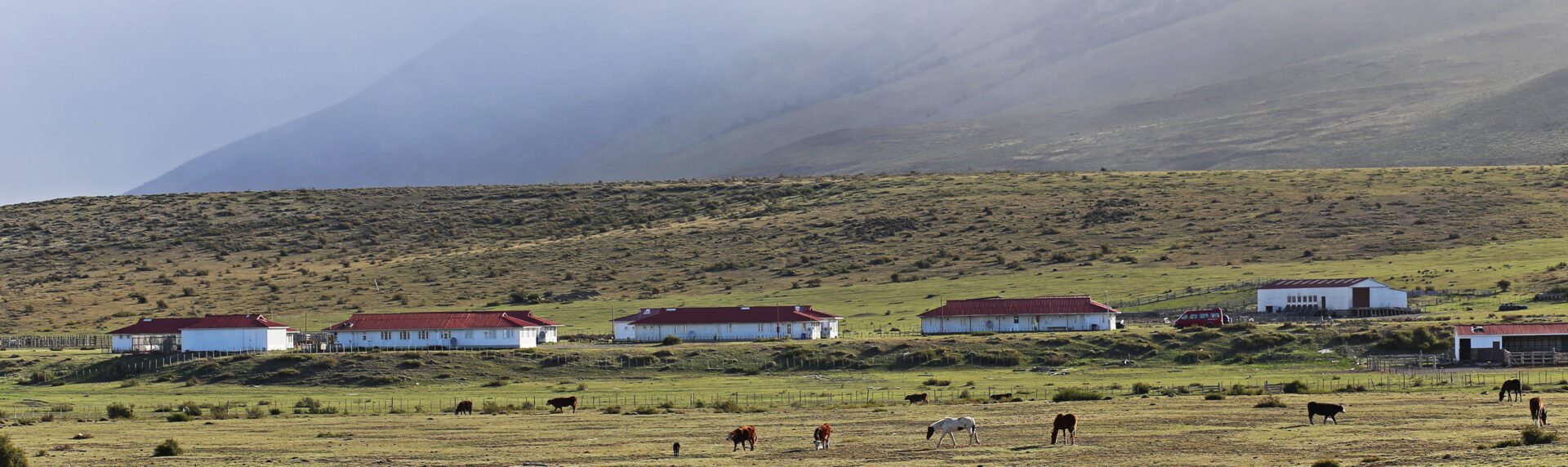Patagonie Reizen Atacama Argentinie 28