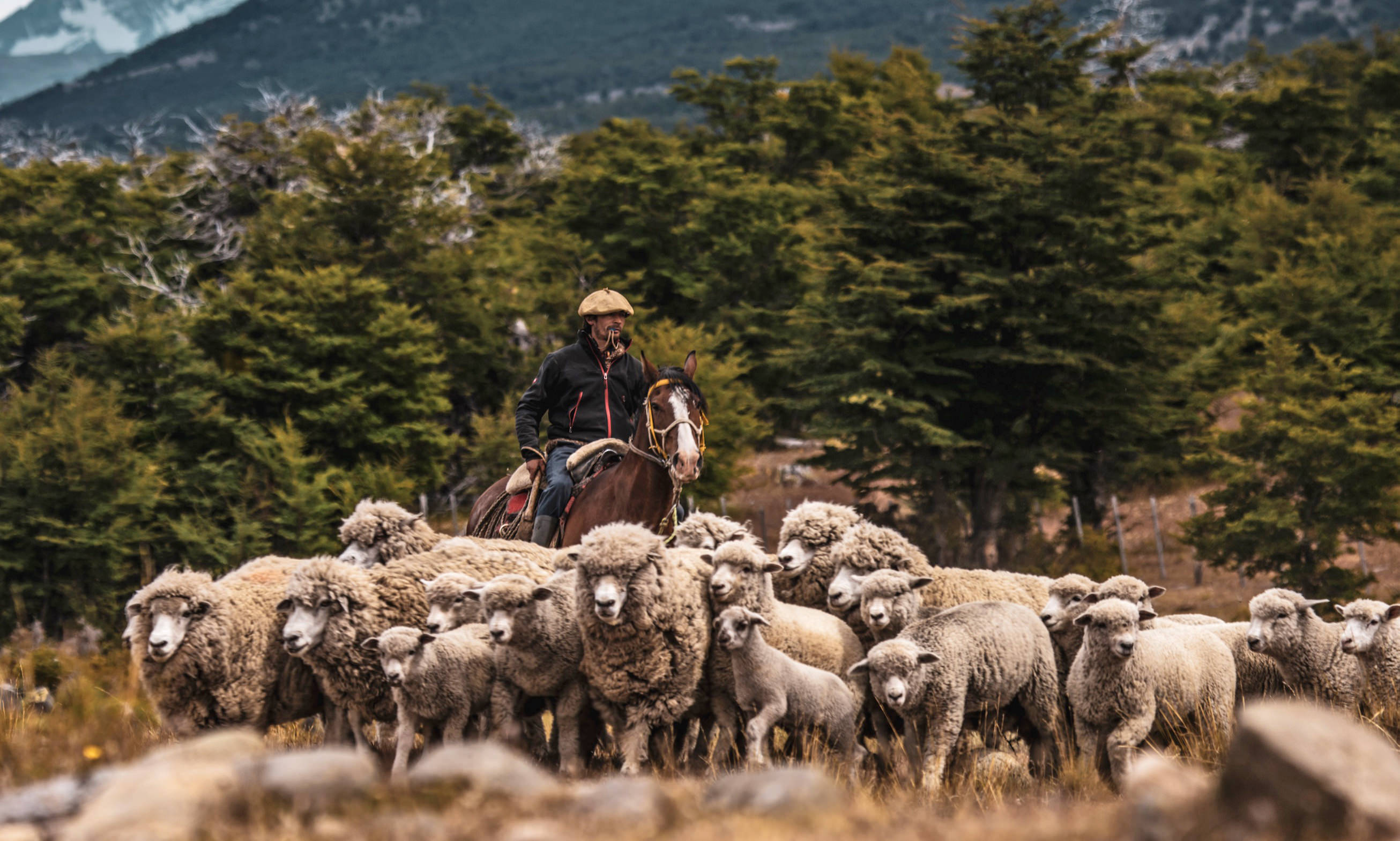 Cerro Guido Chili Rondreis 18