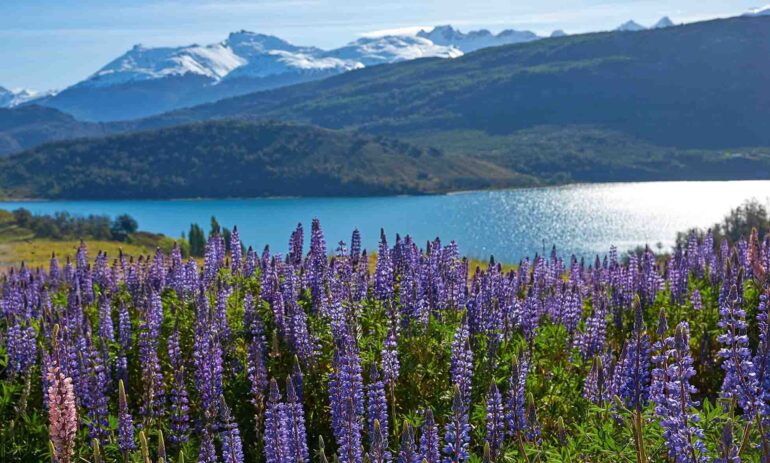 Aysen1 Chili Atacama Be