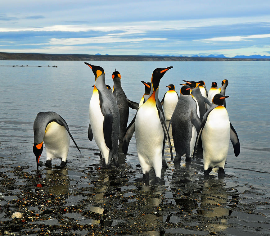 Atacama Chili Reizen 2