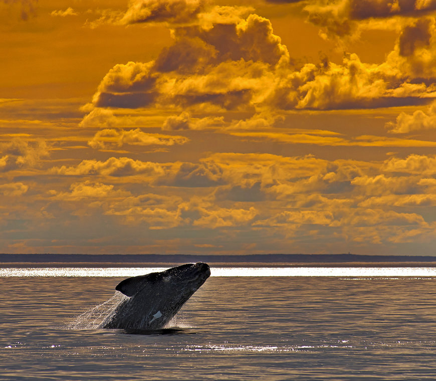 Atacama Argentinie Rond Reizen Noorden Patagonie 13