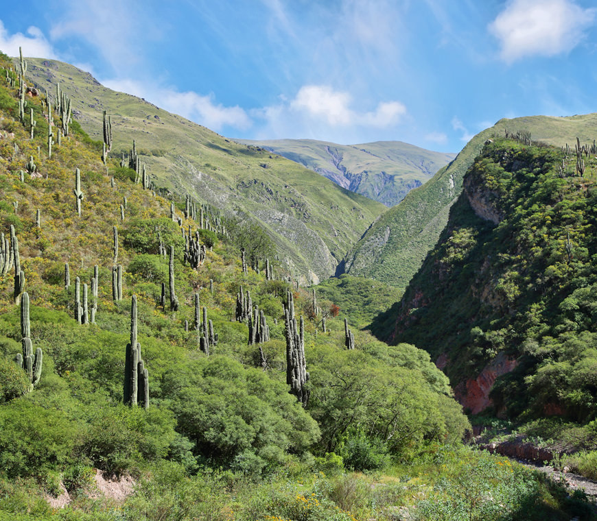 Atacama Argentinie Reizen Escoipecanyon