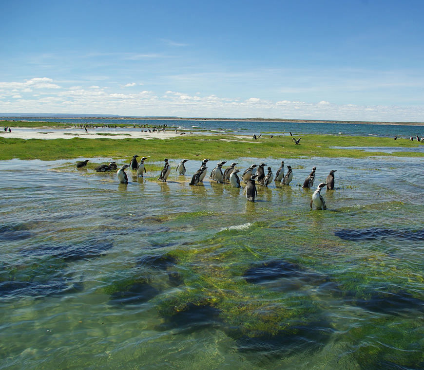Bahia Bustamante Lodge Blog8