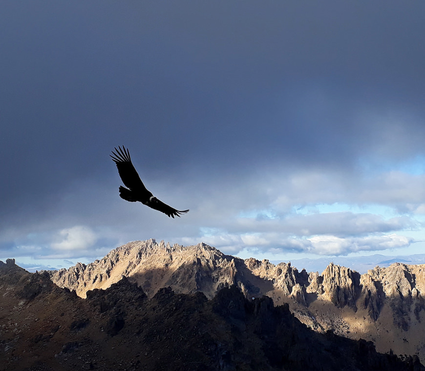 Bariloche Argentinie Rondreis Topchef Culinaire Excursie1