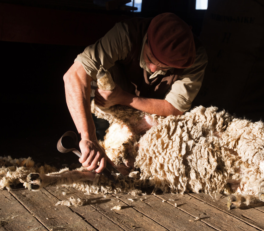 Patagonie Argentinie Reizen14