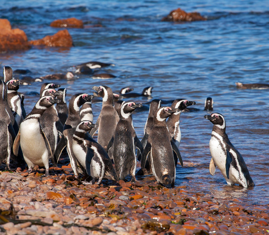 Patagonie Argentinie Reizen22