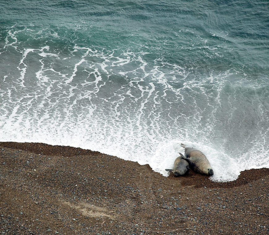 Patagonie Argentinie Reizen28