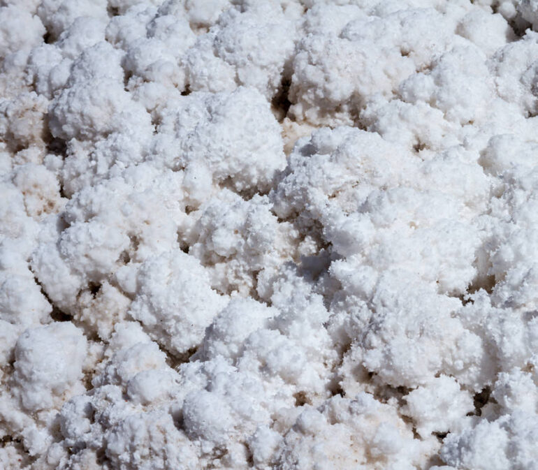 Argentina Puna Vierkant3 Atacama Be