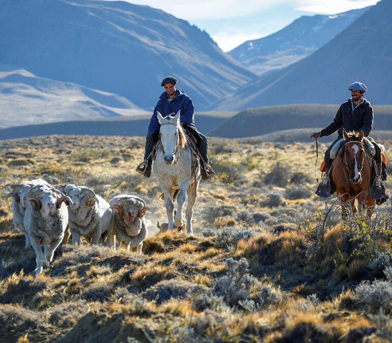 Atacama Individuele Reizen Patagonie Vakantie 22
