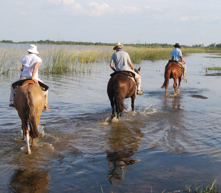 Esterosdelibera Argentinie Reizen5