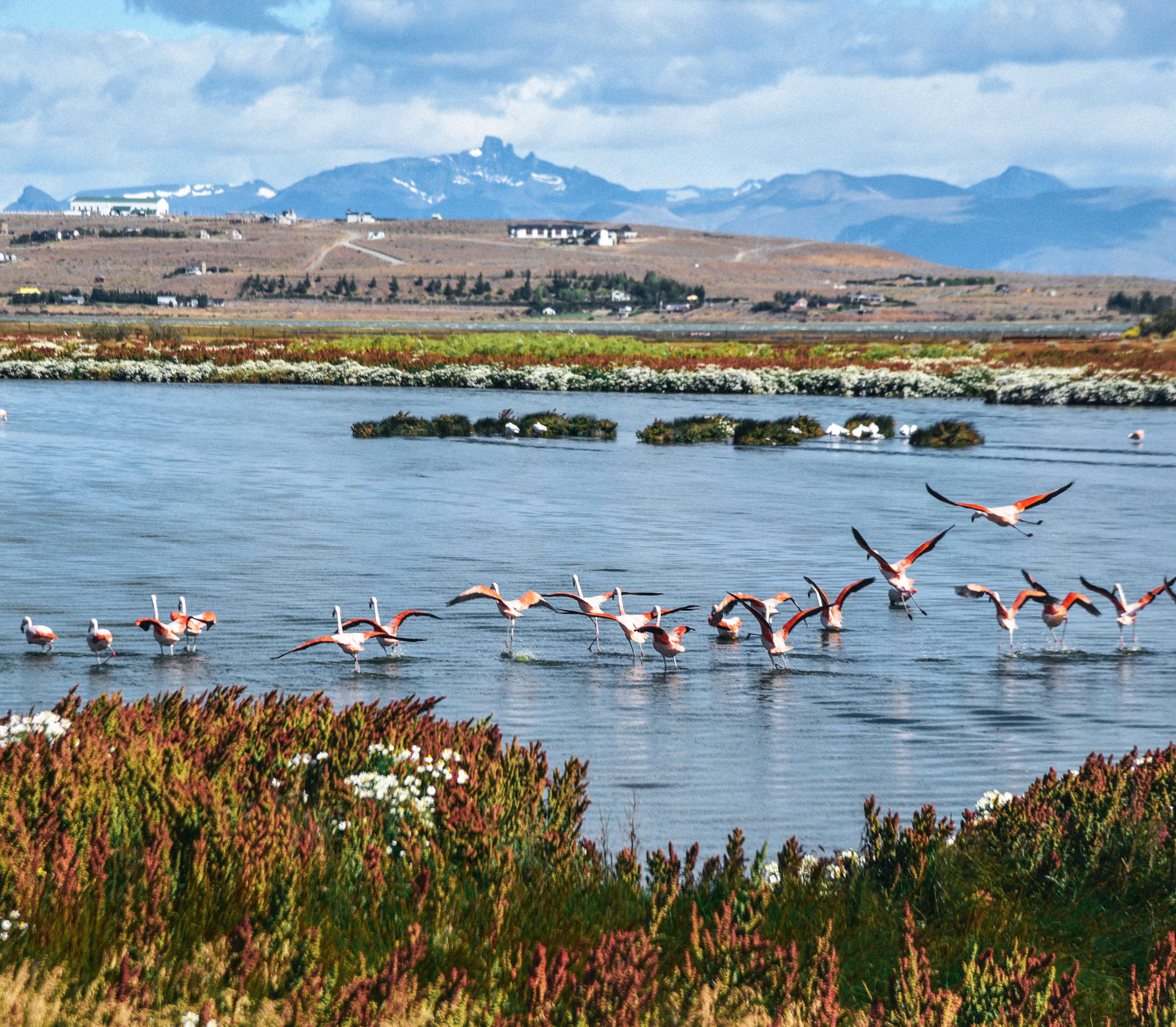 Argentinie Calafate Patagonie Rondreis Specialist Atacama20