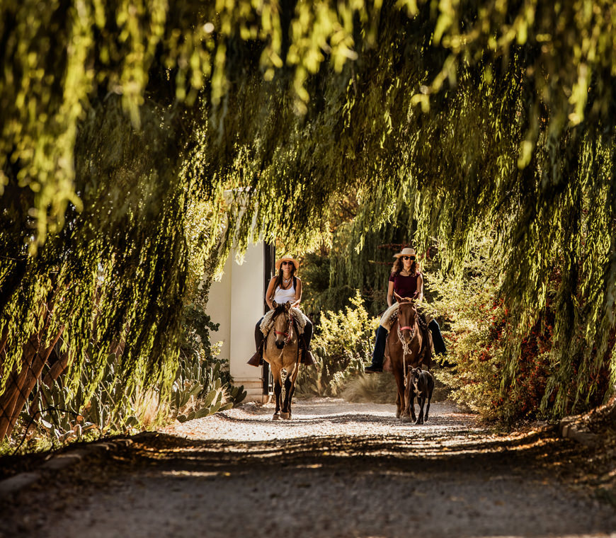 Argentinie Reizen Mendoza Atacama2