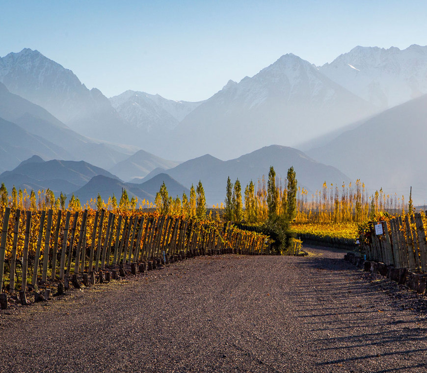 Argentinie Reizen Mendoza Atacama4