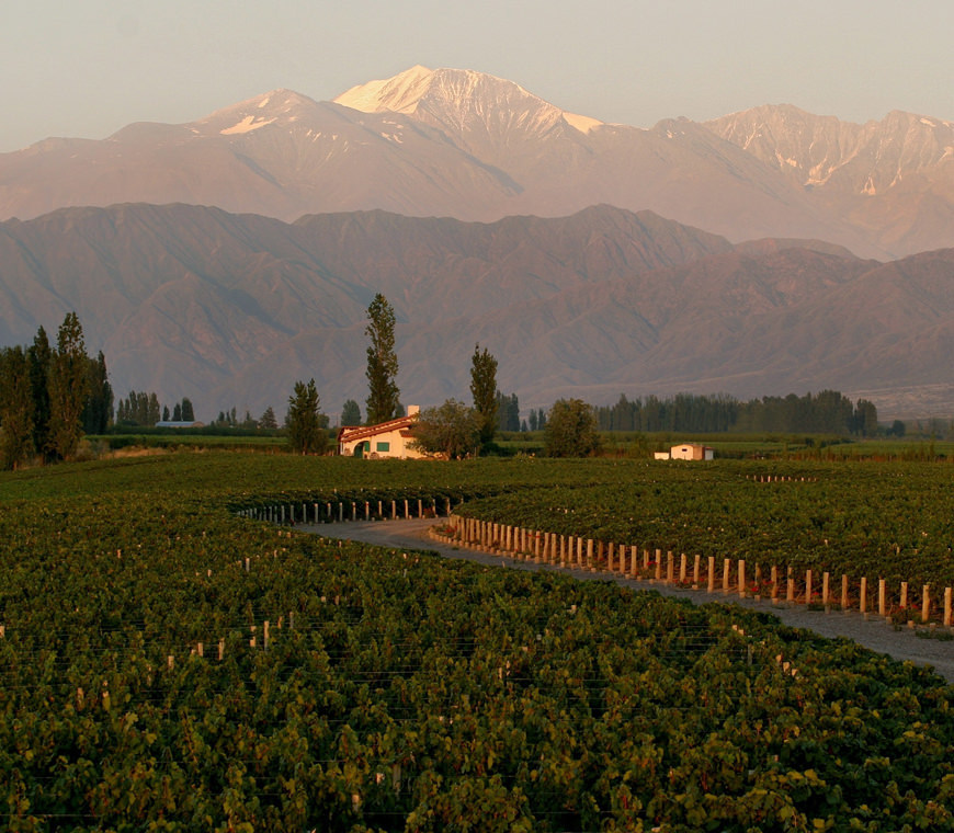 Argentinie Reizen Mendoza Atacama5