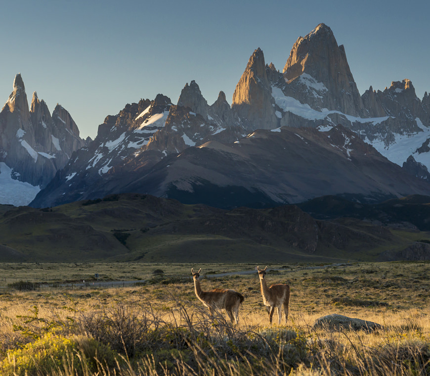 Atacama Individuele Reizen Patagonie Vakantie 17