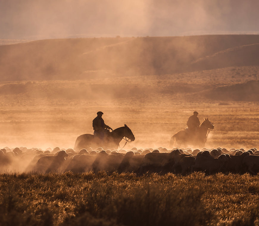 Atacama Individuele Reizen Patagonie Vakantie 32