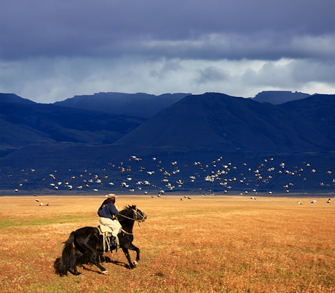Argentinie Gaucho Filter Atacama Be