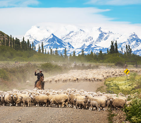 Argentinie Reizen Ultimo Confin Filter