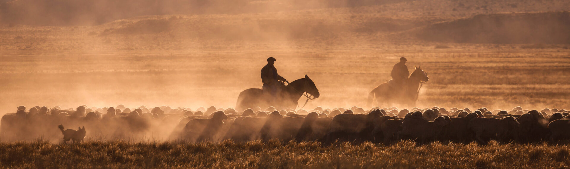 Patagonie Reizen Atacama Argentinie 10