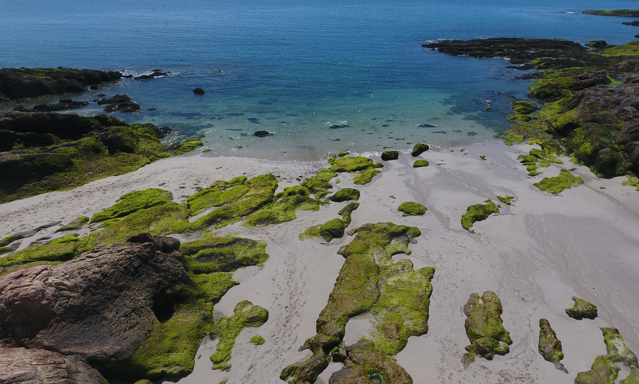 Bahia Bustamante Lodge Blog12