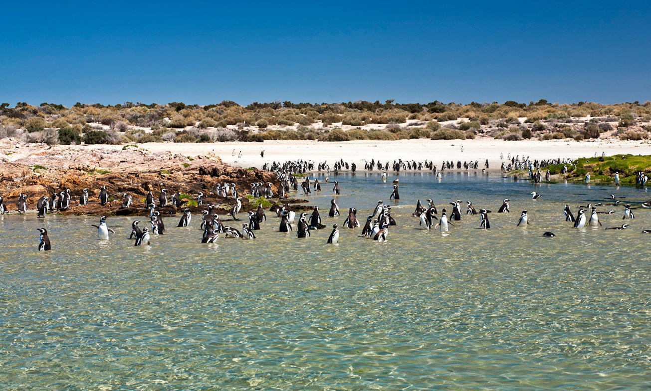 Bahia Bustamante Lodge Blog15