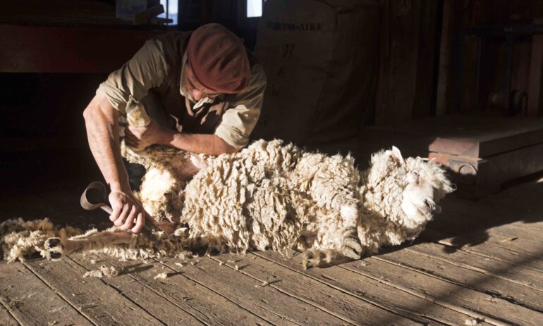 Argentinie Rondreis 405 Atacama Be