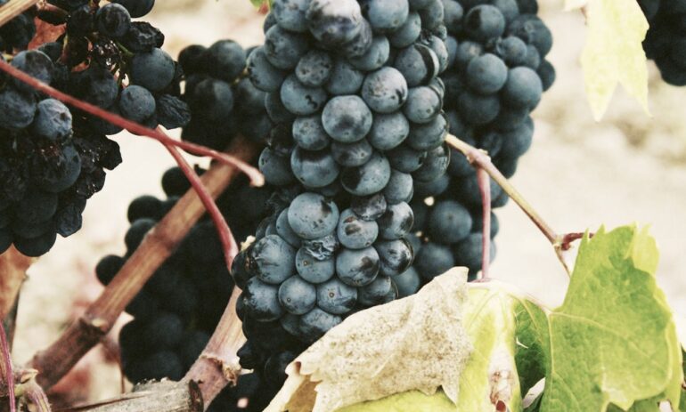 Argentinie Reizen Restaurants7