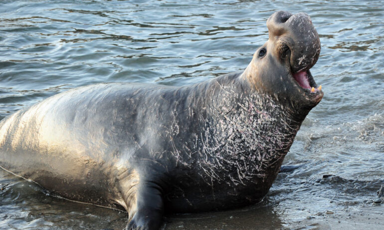 Patagonie Rondreis Argentinie Atacama Be Specialist14