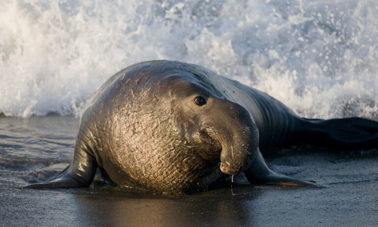 Patagonie Rondreis Argentinie Atacama Be Specialist15