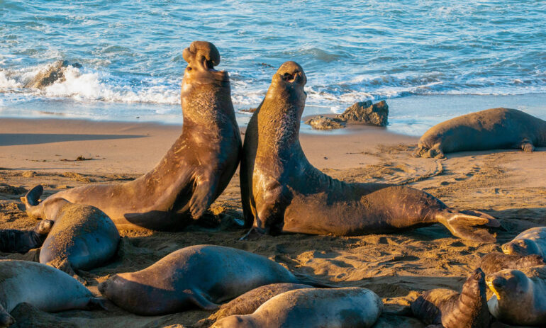 Patagonie Rondreis Argentinie Atacama Be Specialist16