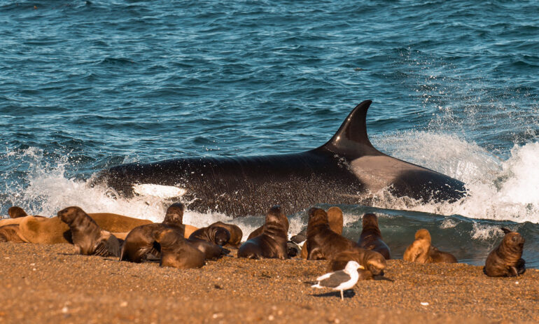 Patagonie Rondreis Argentinie Atacama Be Specialist17