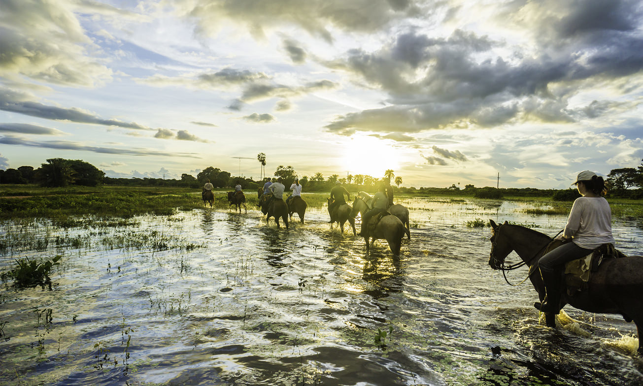Esteros Ibera Wetlands Atacama Argentinie Reisspecialist