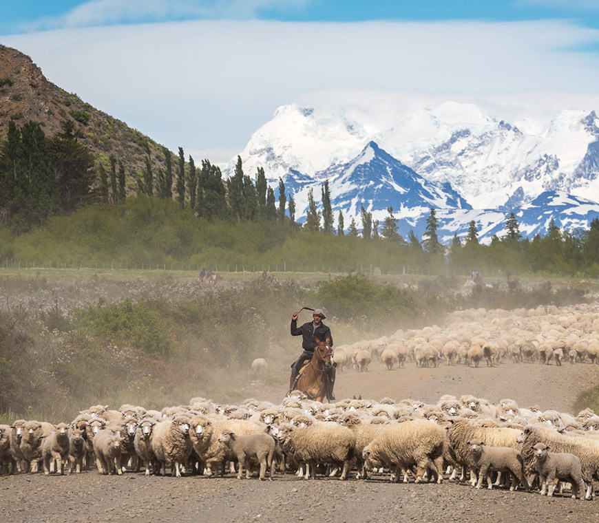 Atacama Argentinie Reizen 1