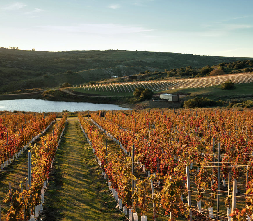 Uruguay Rondreis Atacama Be Tegel3