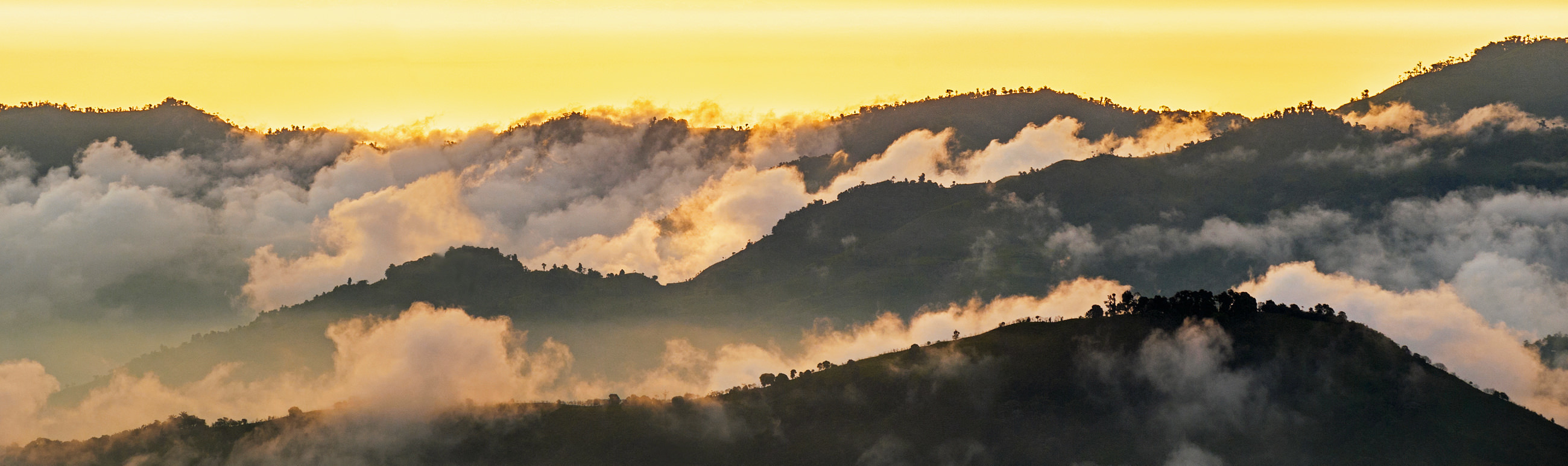 Cordillera Andes Reizen