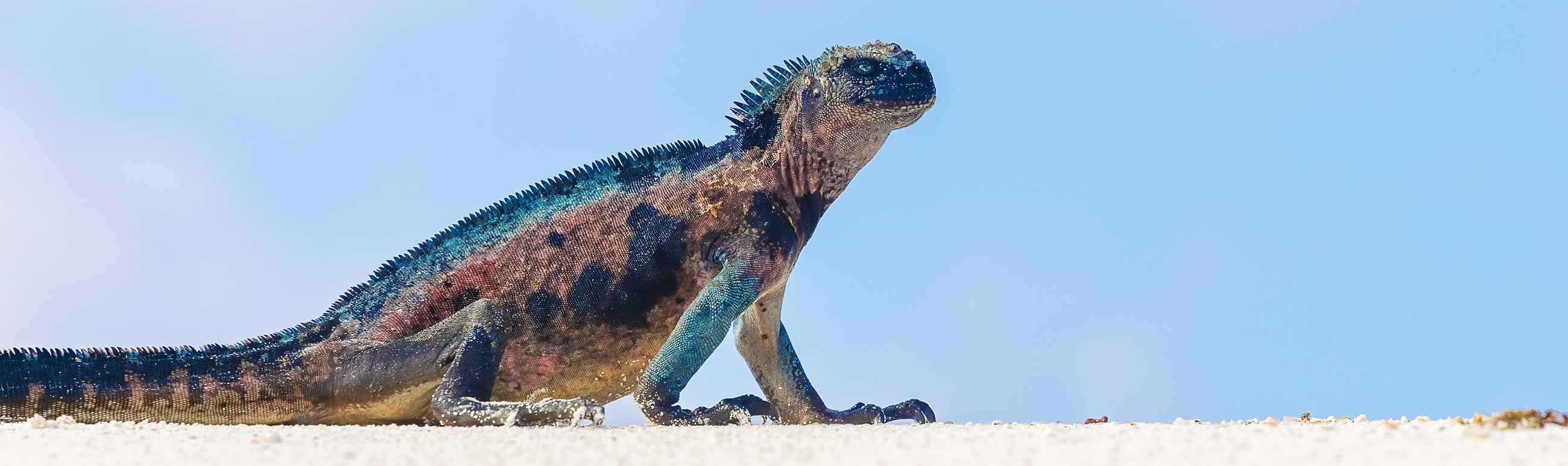 Atacama Inspiratie Pano1