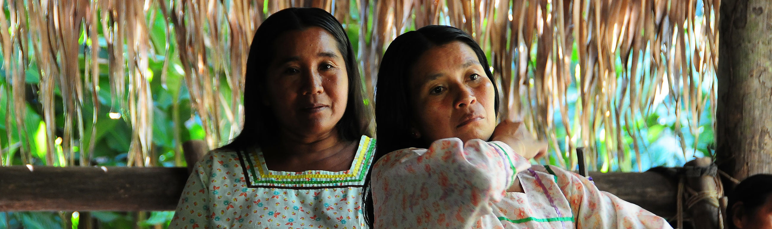 Inspiratie Regenwoud Rainforest 1