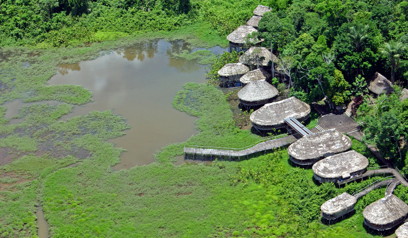 Atacama Regenwoud Inspiratie2